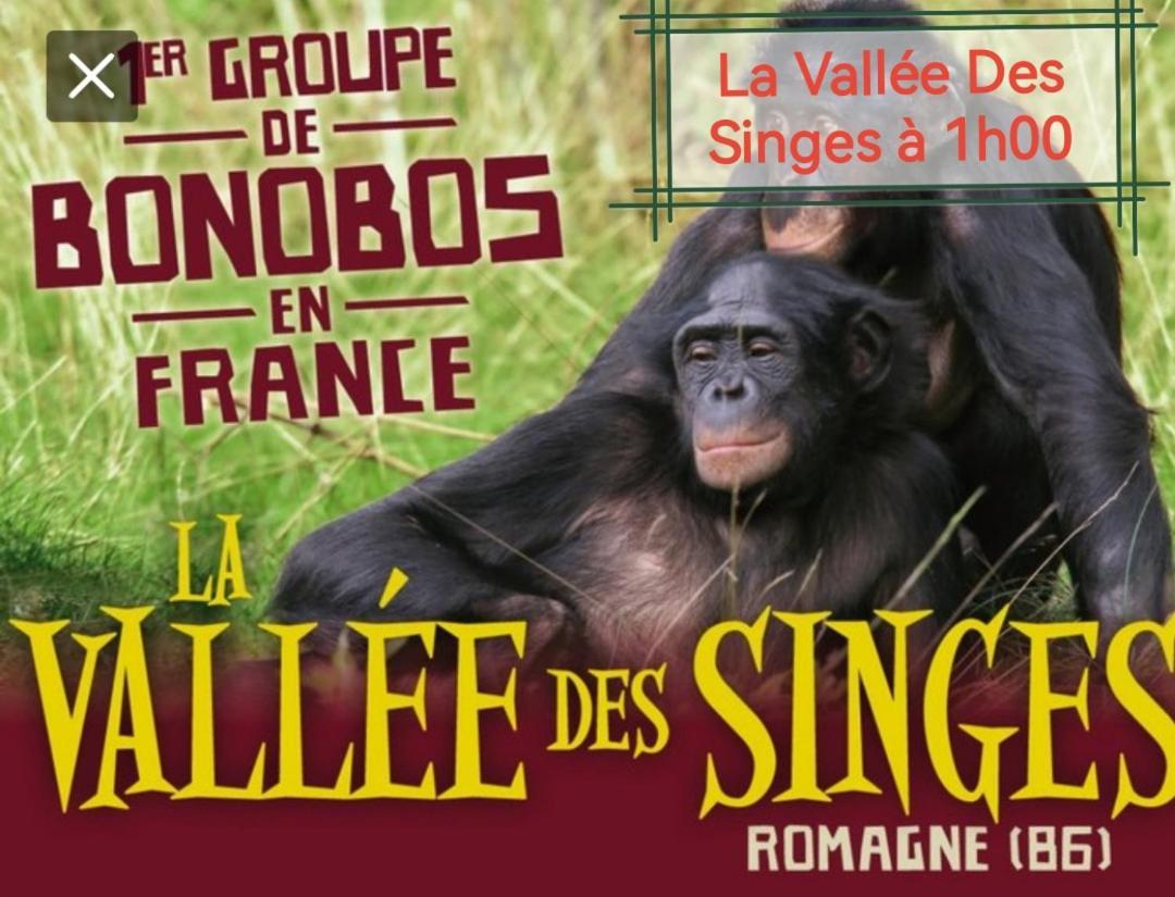 Châtellerault Gite De Charme Dans Un Cadre Calme Et Reposant מראה חיצוני תמונה